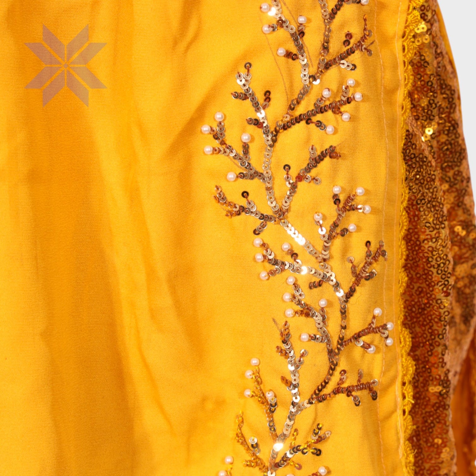 Zarnigar Mustard Glam Ensemble