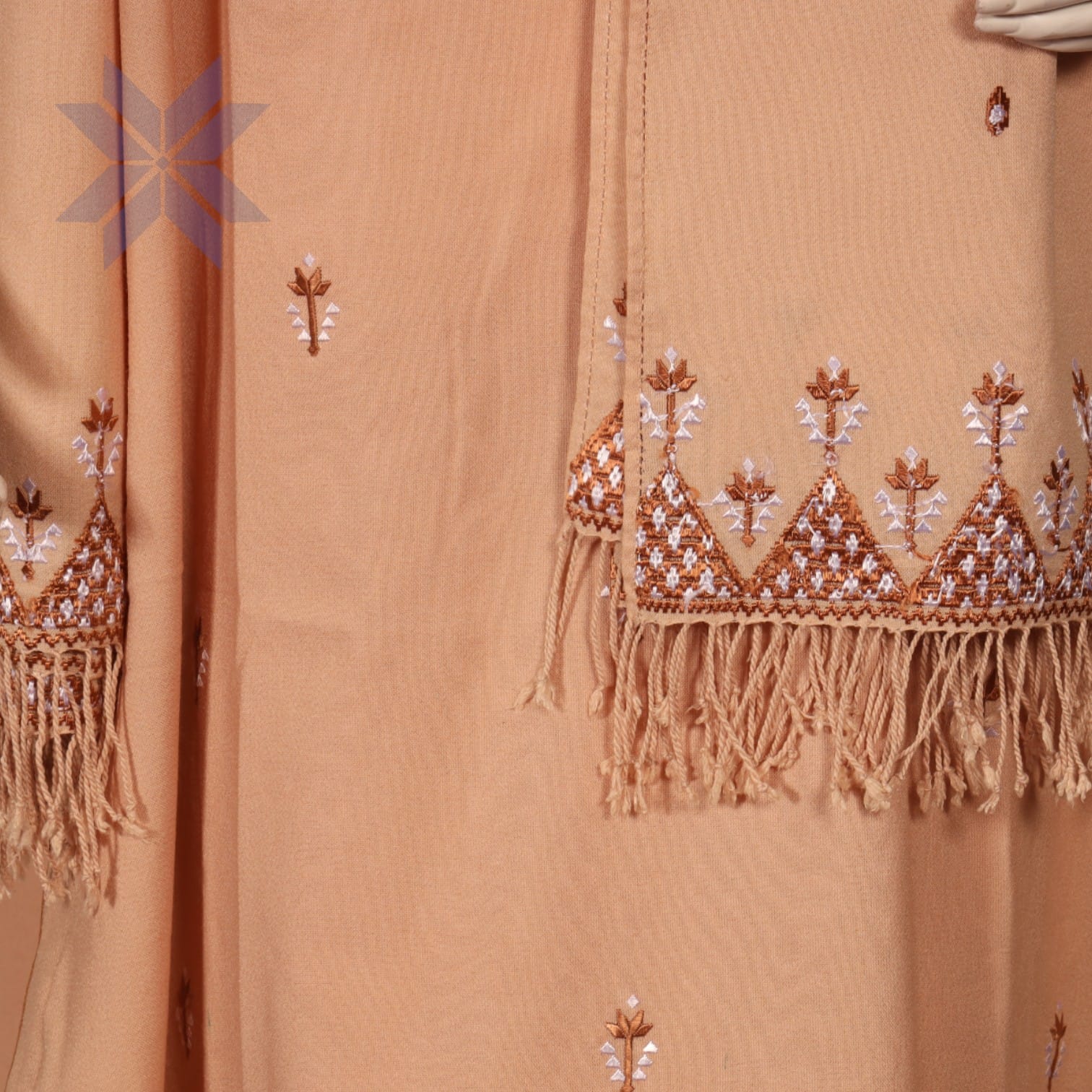 Gulnaar Peach Embroidered Set