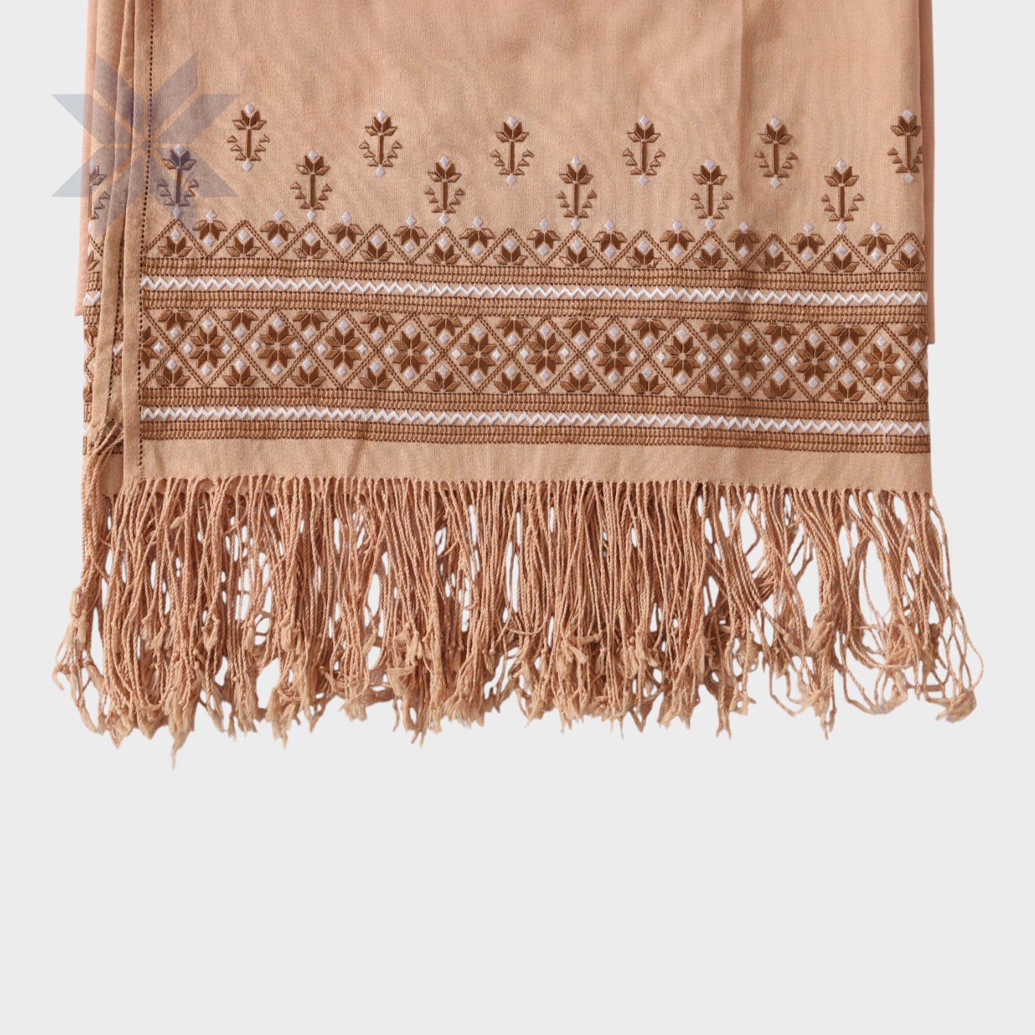 Sahar Tan Embroidered Fringed Dupatta