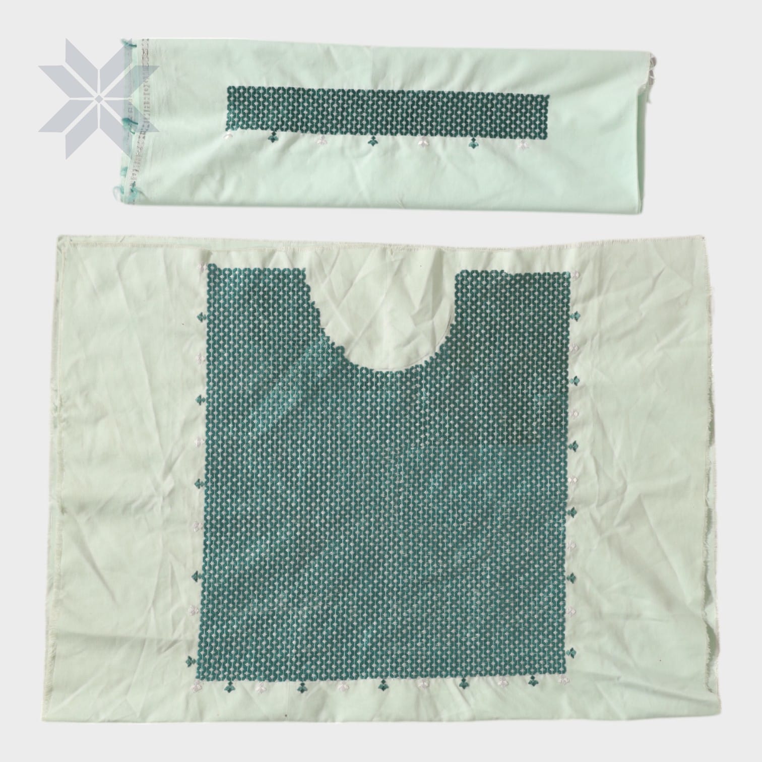 Zarmina Embroidered Kameez Panel Set – Light Mint