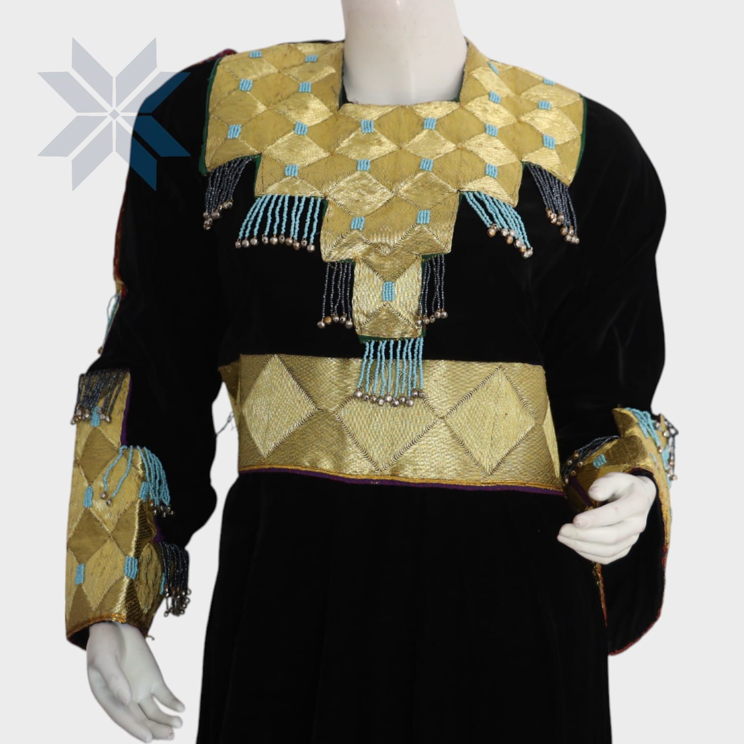 Siyah Zar Gold-Tassel Dress