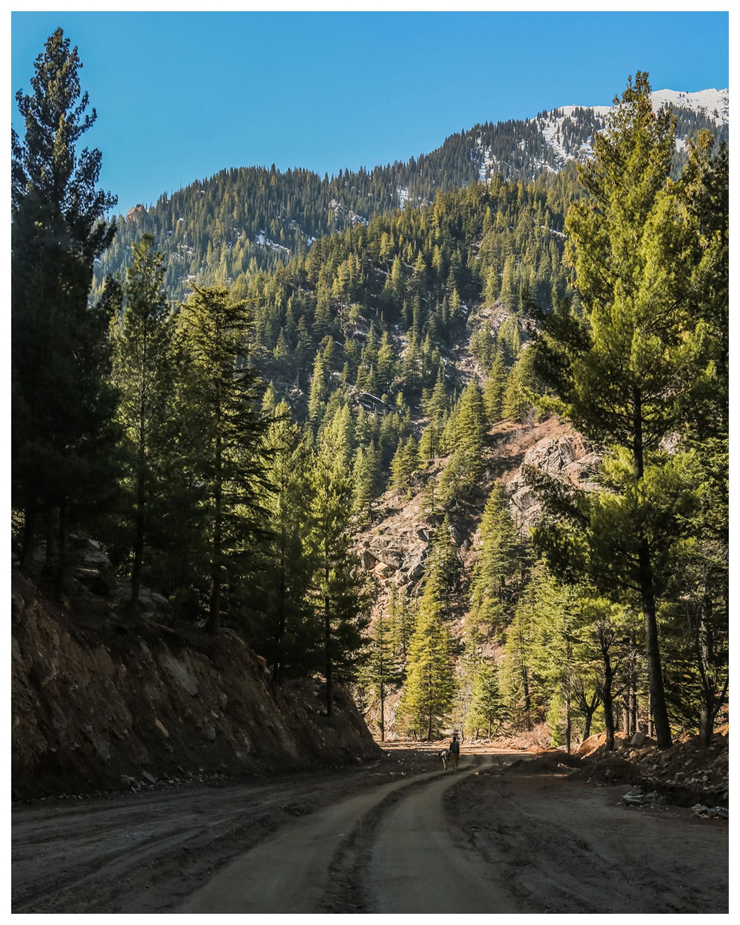 Nuristan Mountain Path | Photo Print by Zabih Habibi