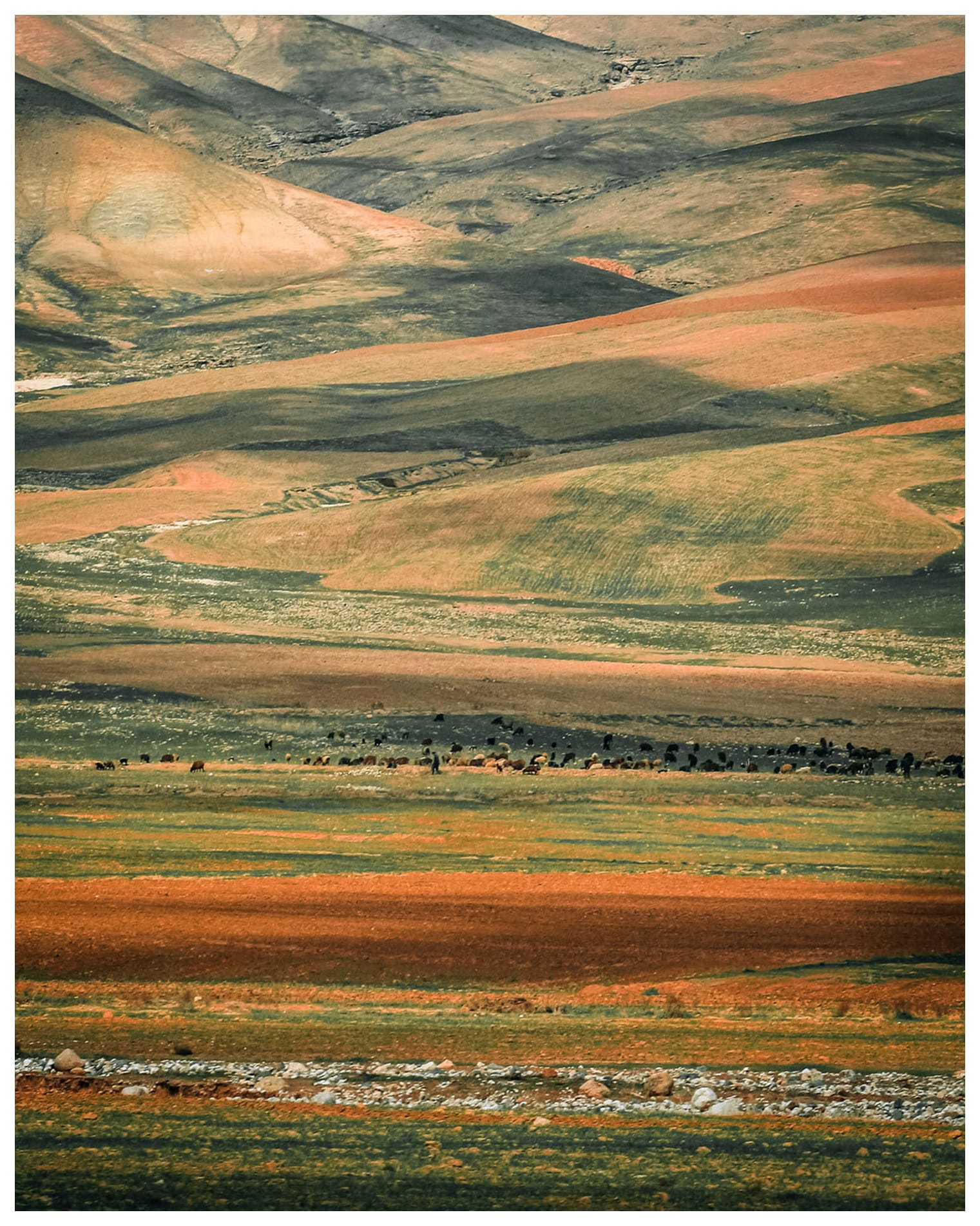 Shadyan Hill Rolling Colors of Mazar e Sharif  | Photo by Zabih Habibi