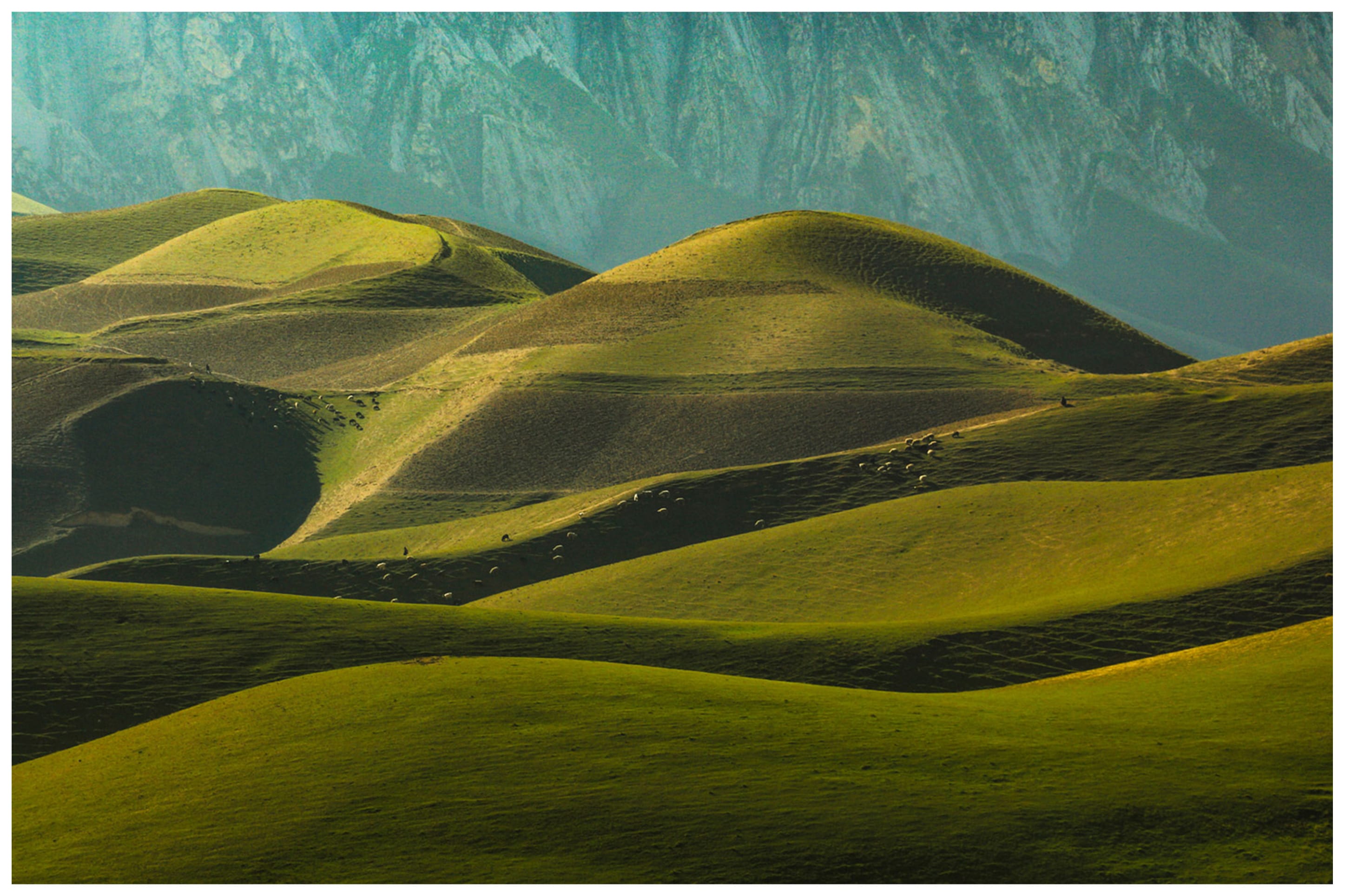Shadyan Green Fields Mazar-e-Sharif