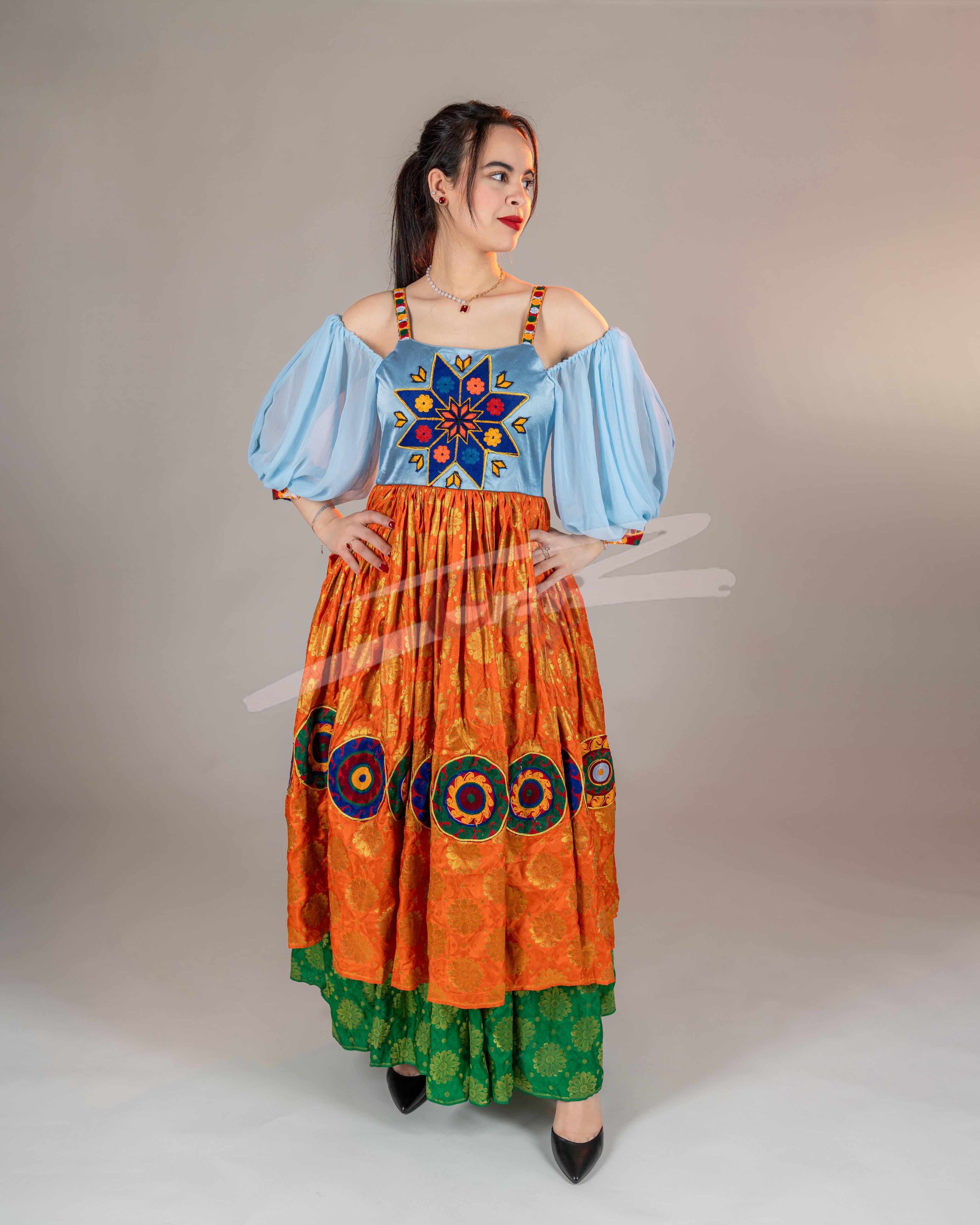 Elegant Banarasi and Satin Skirt