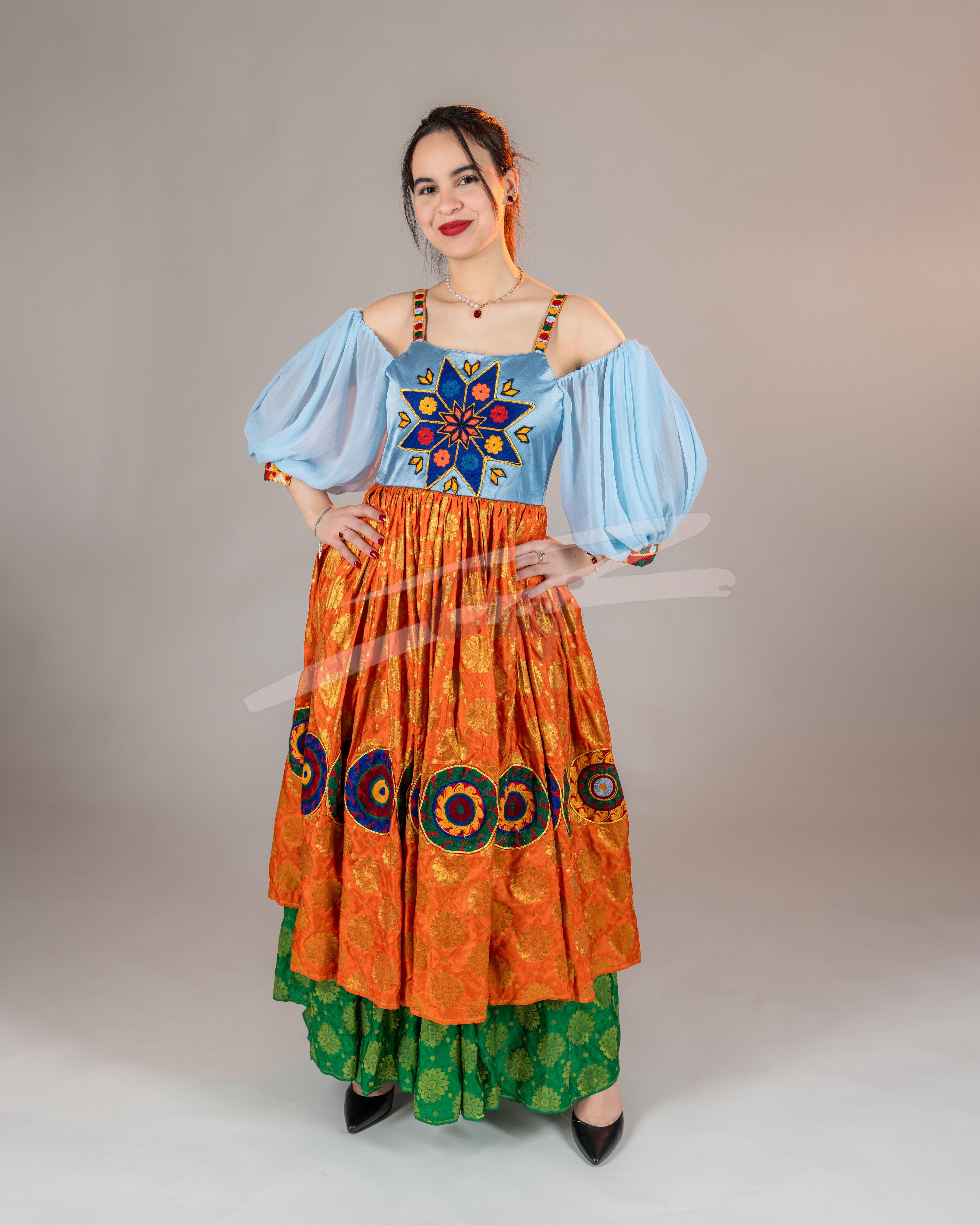 Elegant Banarasi and Satin Skirt