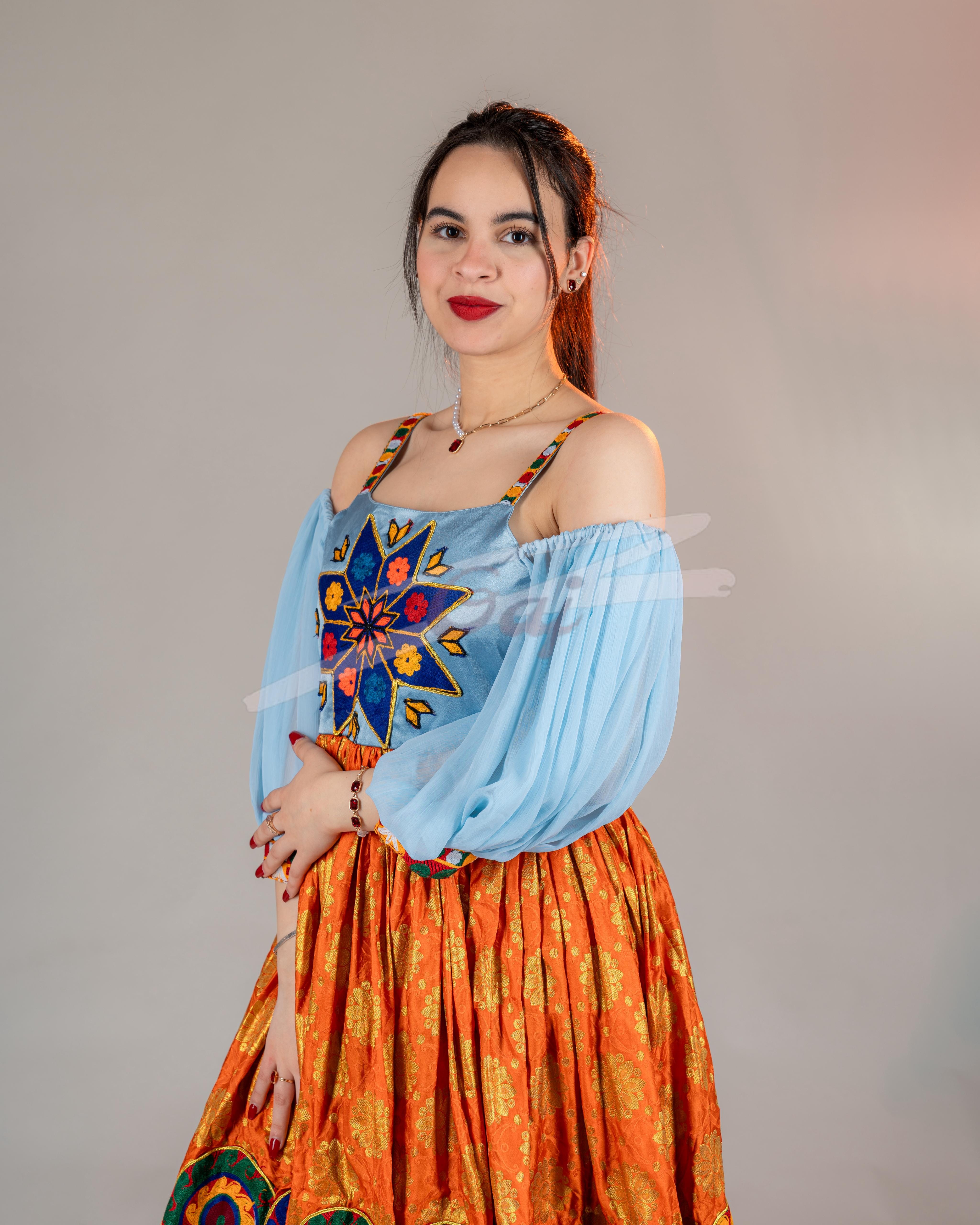 Elegant Banarasi and Satin Skirt