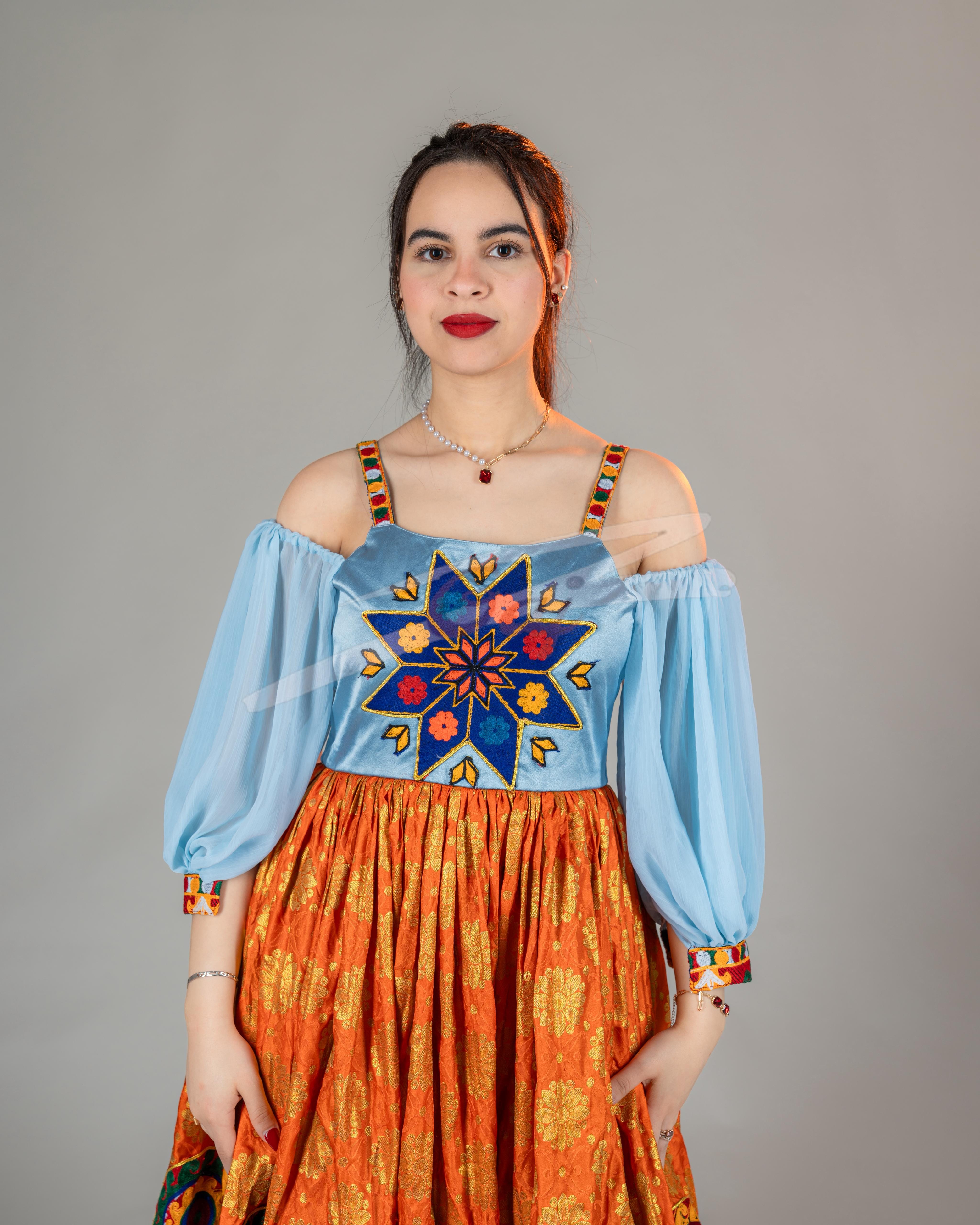 Elegant Banarasi and Satin Skirt