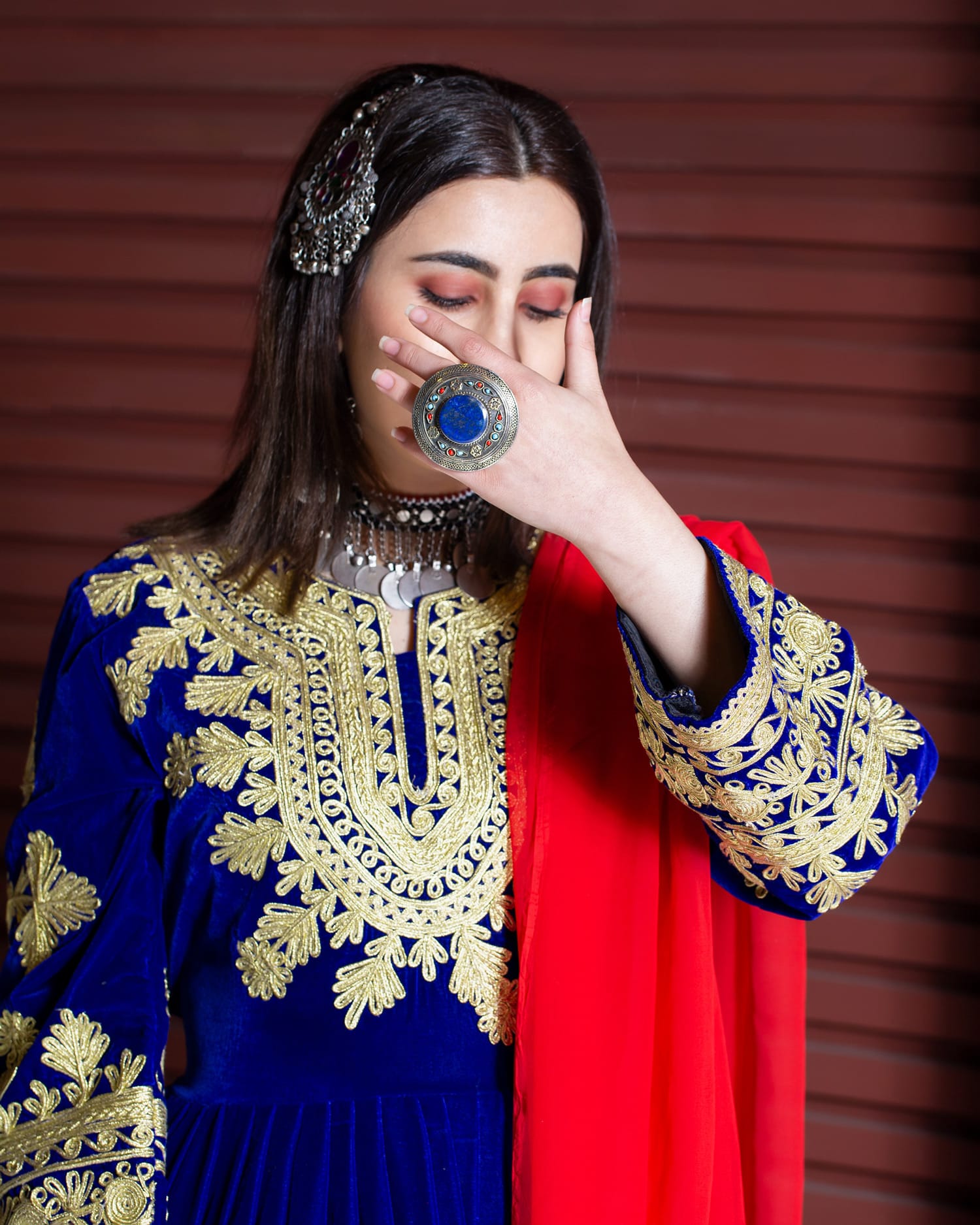 Traditional Velvet Silk Dress with Embroidered Sleeves and Skirt Full Set