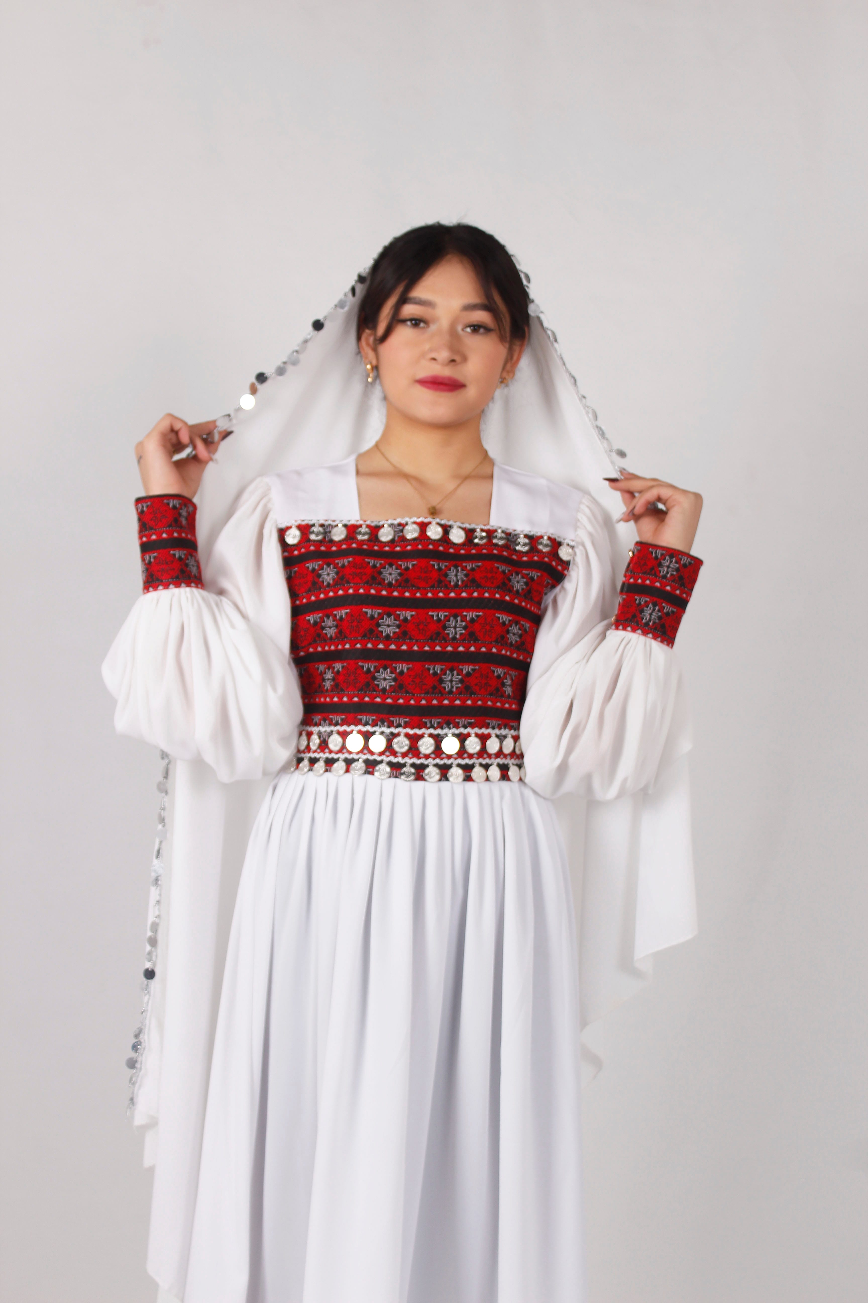 Long Dress Embroidery Afghan Design