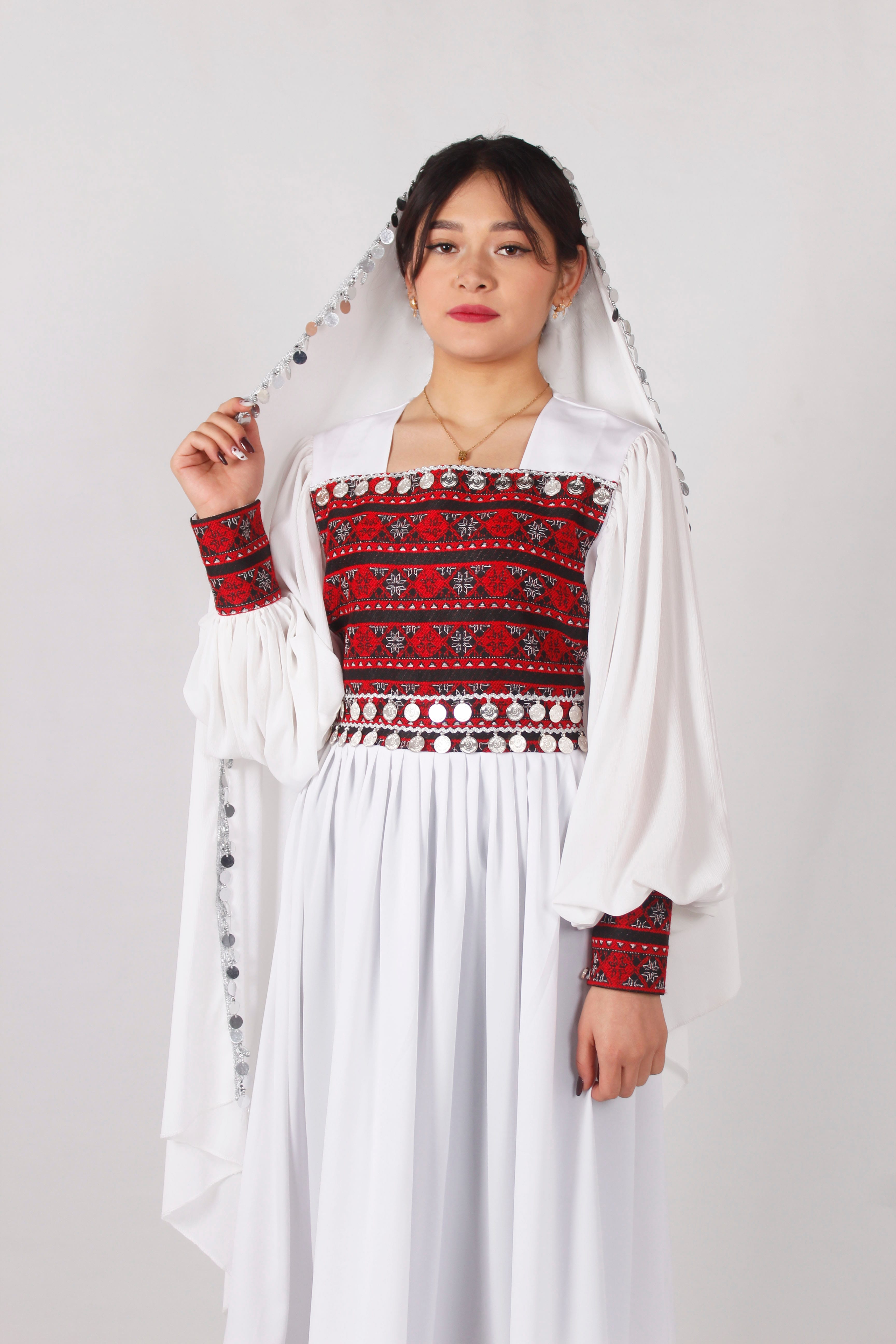 Long Dress Embroidery Afghan Design